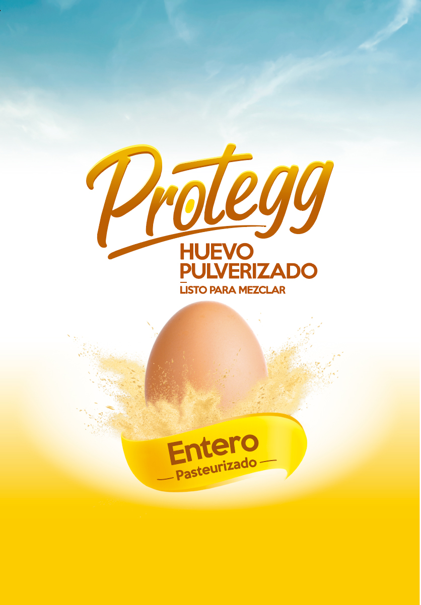 protegg protegg